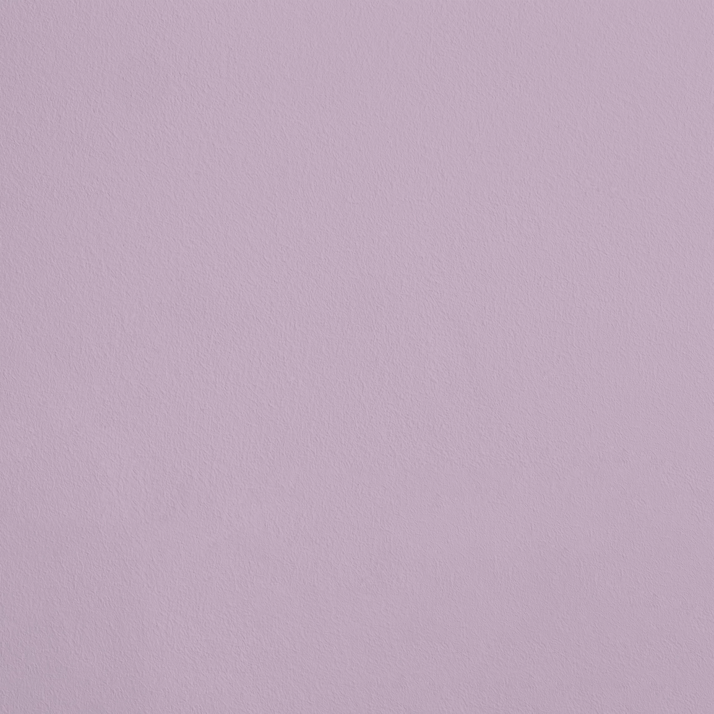 La Princesse R321 aplicado en pared — Ressource