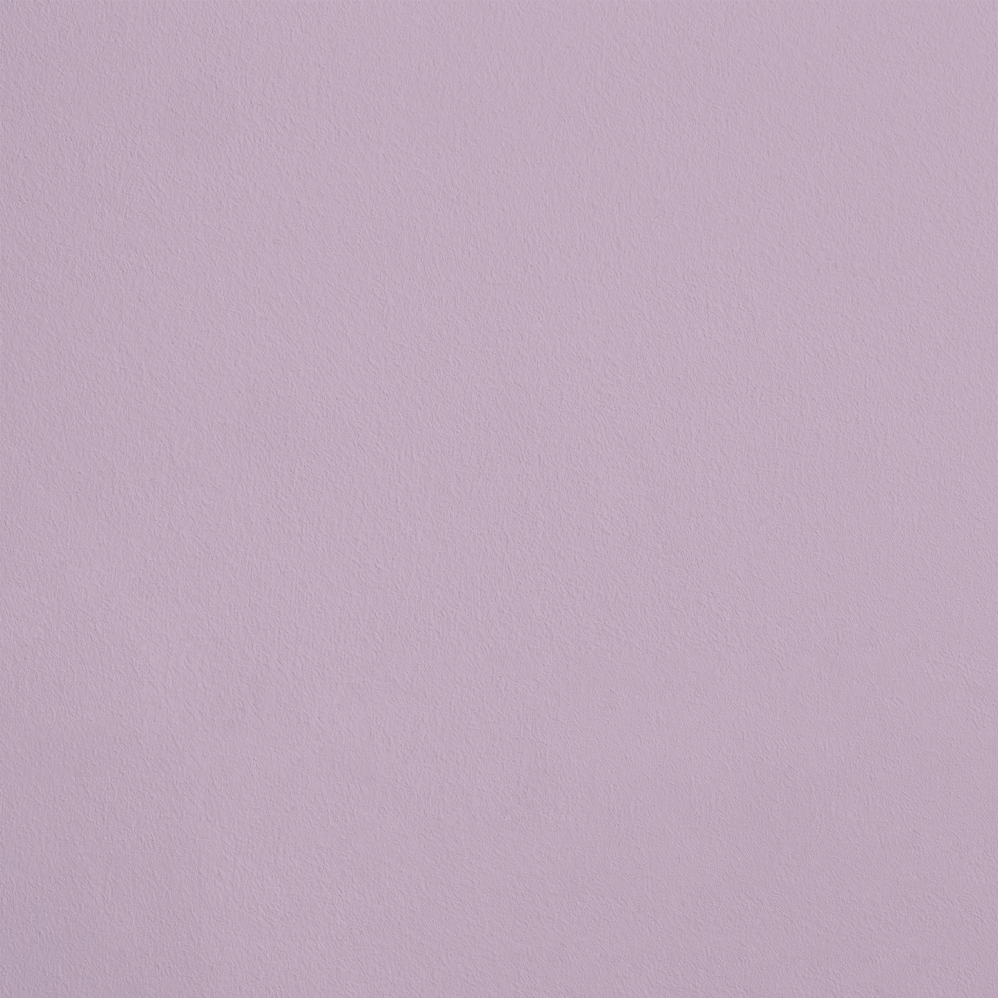 La Princesse R321 aplicado en pared — Ressource