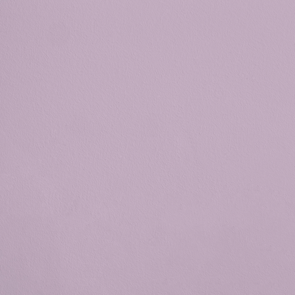 La Princesse R321 aplicado en pared — Ressource