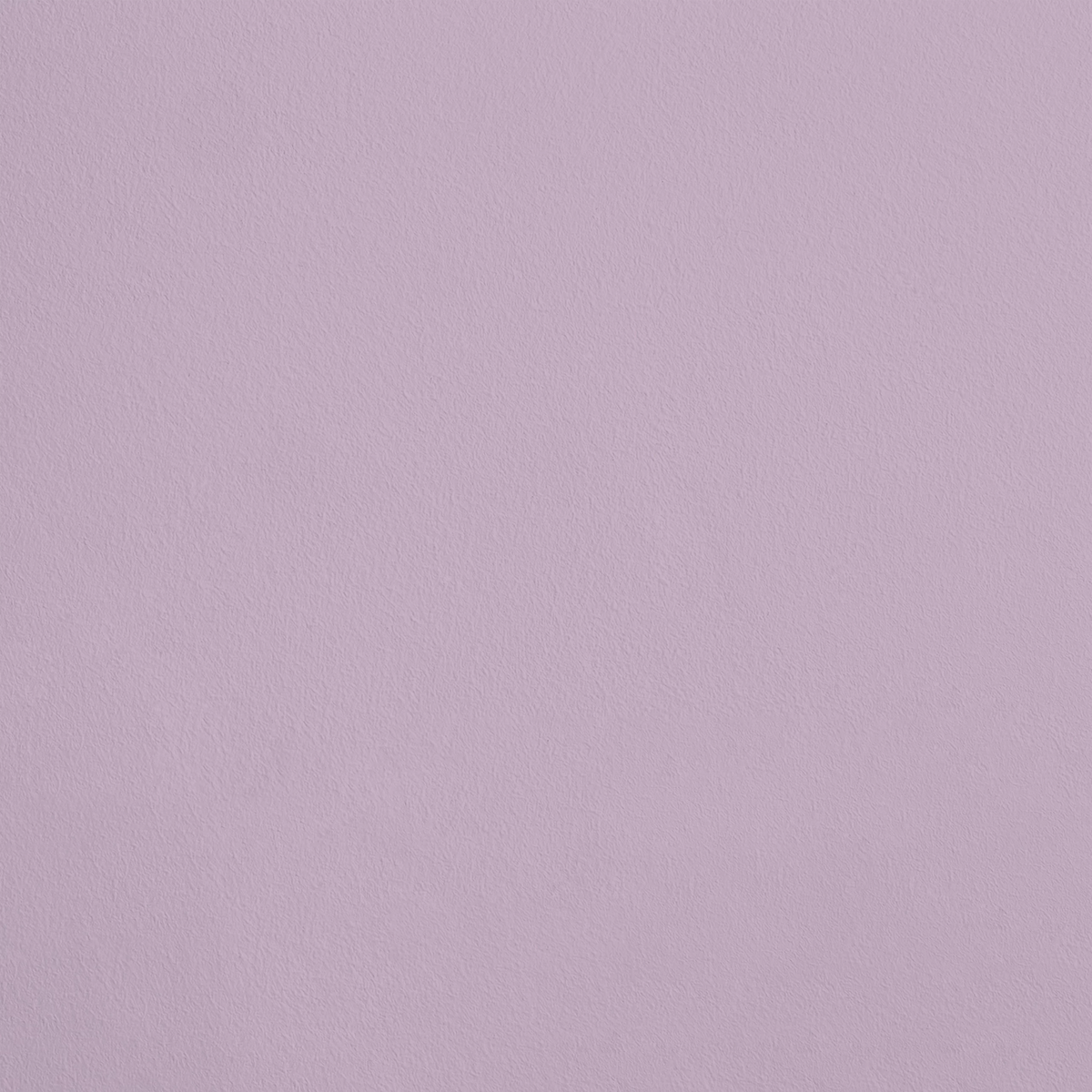 La Princesse R321 aplicado en pared — Ressource