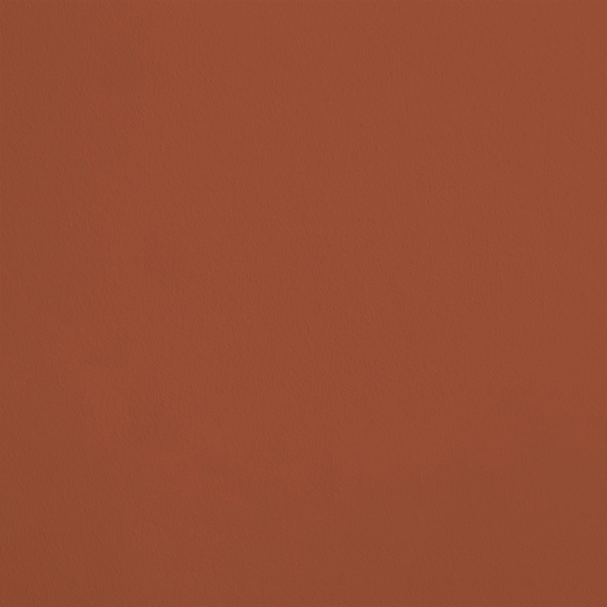 La Moustache R341 aplicado en pared — Ressource