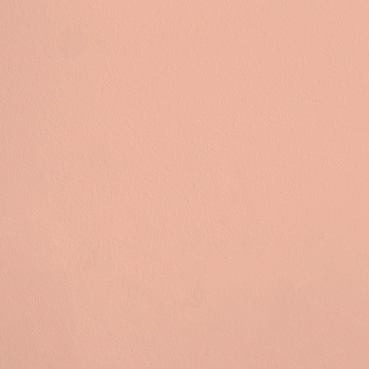 La Gourmande R344 aplicado en pared — Ressource