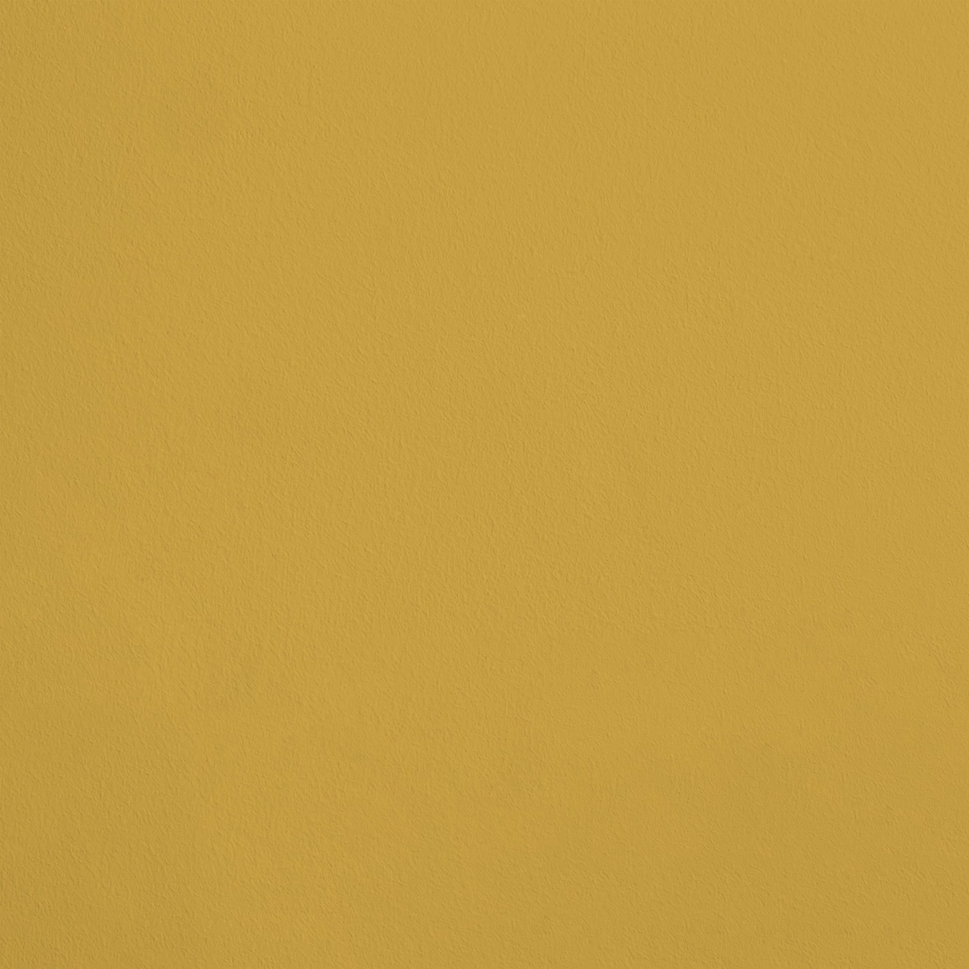 L'Auréole R347 aplicado en pared — Ressource