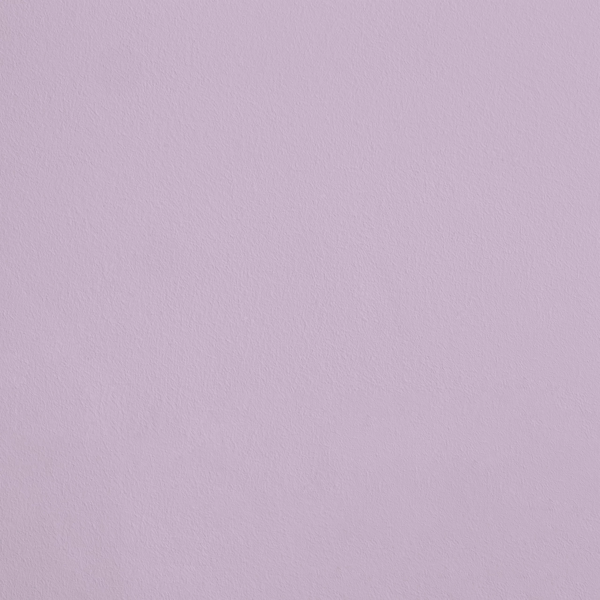 La Frivolité R369 aplicado en pared — Ressource