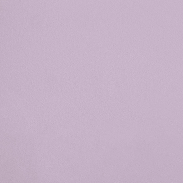 La Frivolité R369 aplicado en pared — Ressource