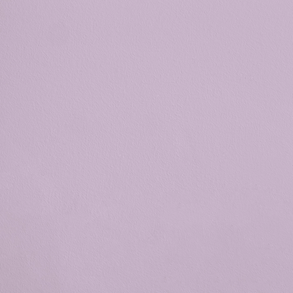 La Frivolité R369 aplicado en pared — Ressource