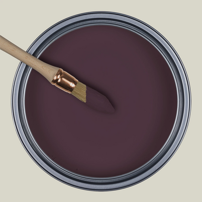 L'Ovation R374 Violet Elogieux — Colección Ressource