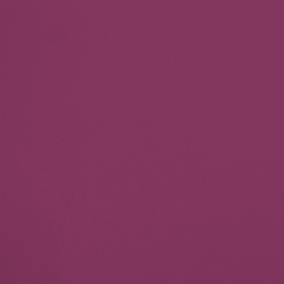 La Belle de Jour R394 aplicado en pared — Ressource