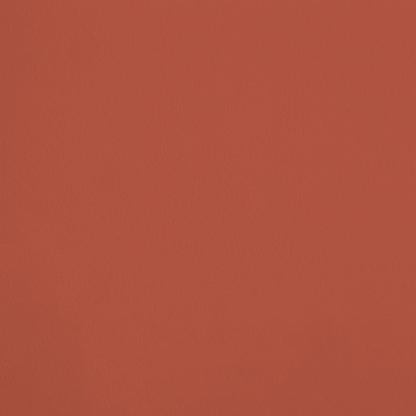 Le Charbon Ardent R404 aplicado en pared — Ressource