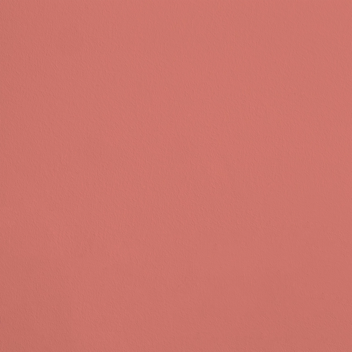 Le Polisson R410 aplicado en pared — Ressource