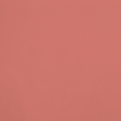 Le Polisson R410 aplicado en pared — Ressource