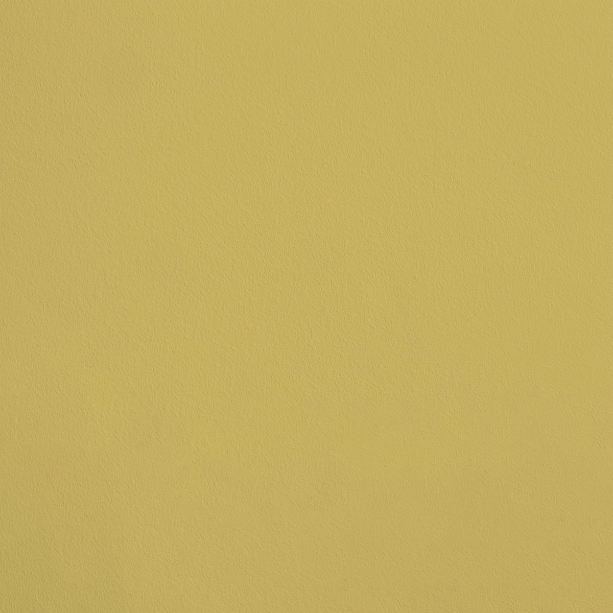 La Préciosité R411 aplicado en pared — Ressource