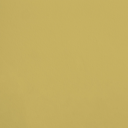 La Préciosité R411 aplicado en pared — Ressource