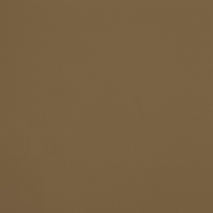 La Sagesse R420 aplicado en pared — Ressource