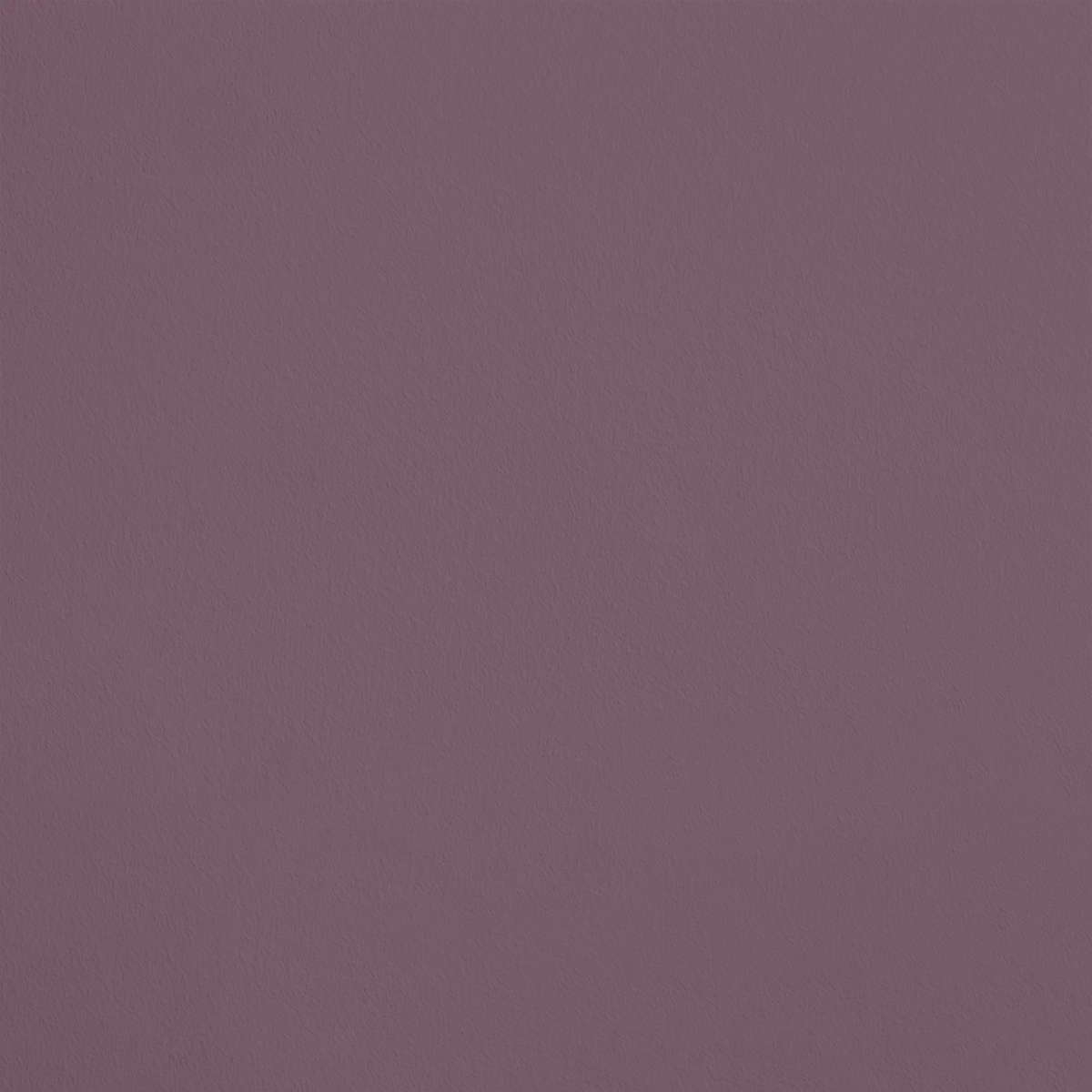 L'Espièglerie R423 aplicado en pared — Ressource