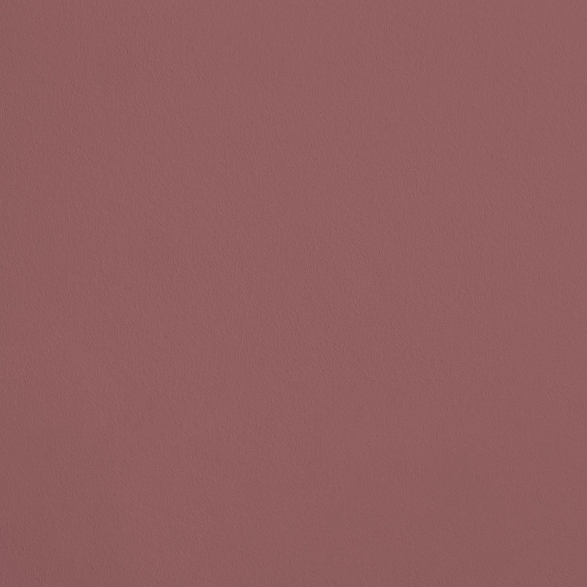 Le Festin R455 aplicado en pared — Ressource