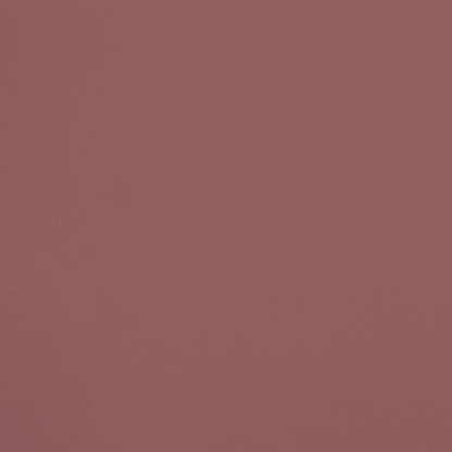 Le Festin R455 aplicado en pared — Ressource