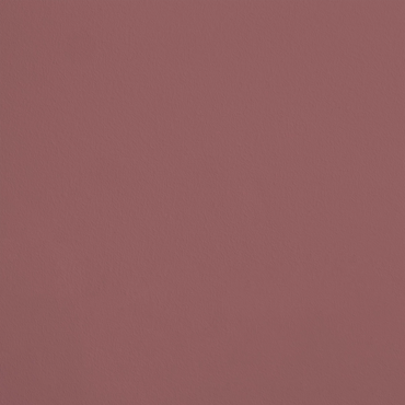 Le Festin R455 aplicado en pared — Ressource