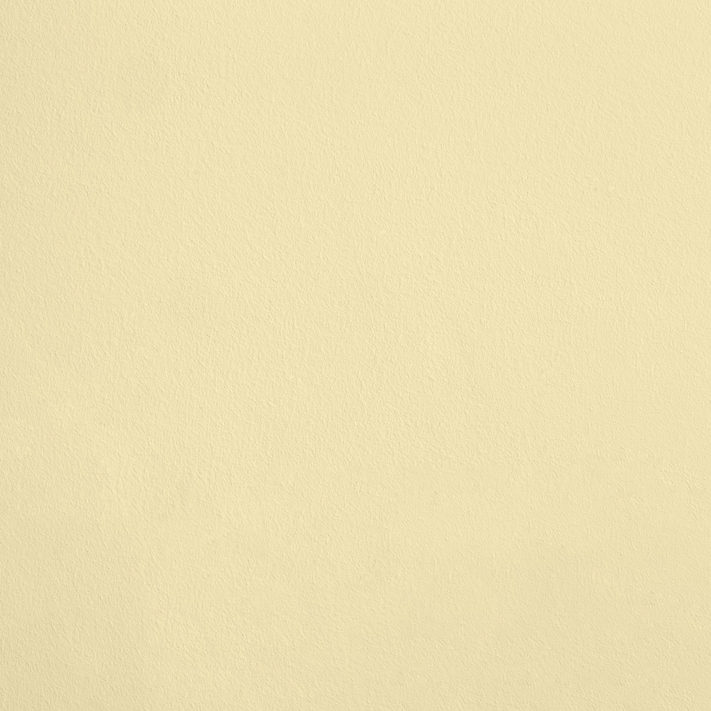 Le Miracle R459 aplicado en pared — Ressource