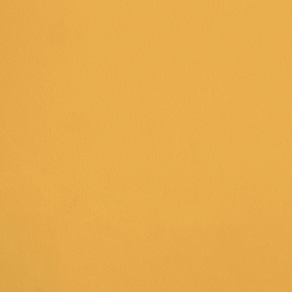 La Mésange R482 aplicado en pared — Ressource