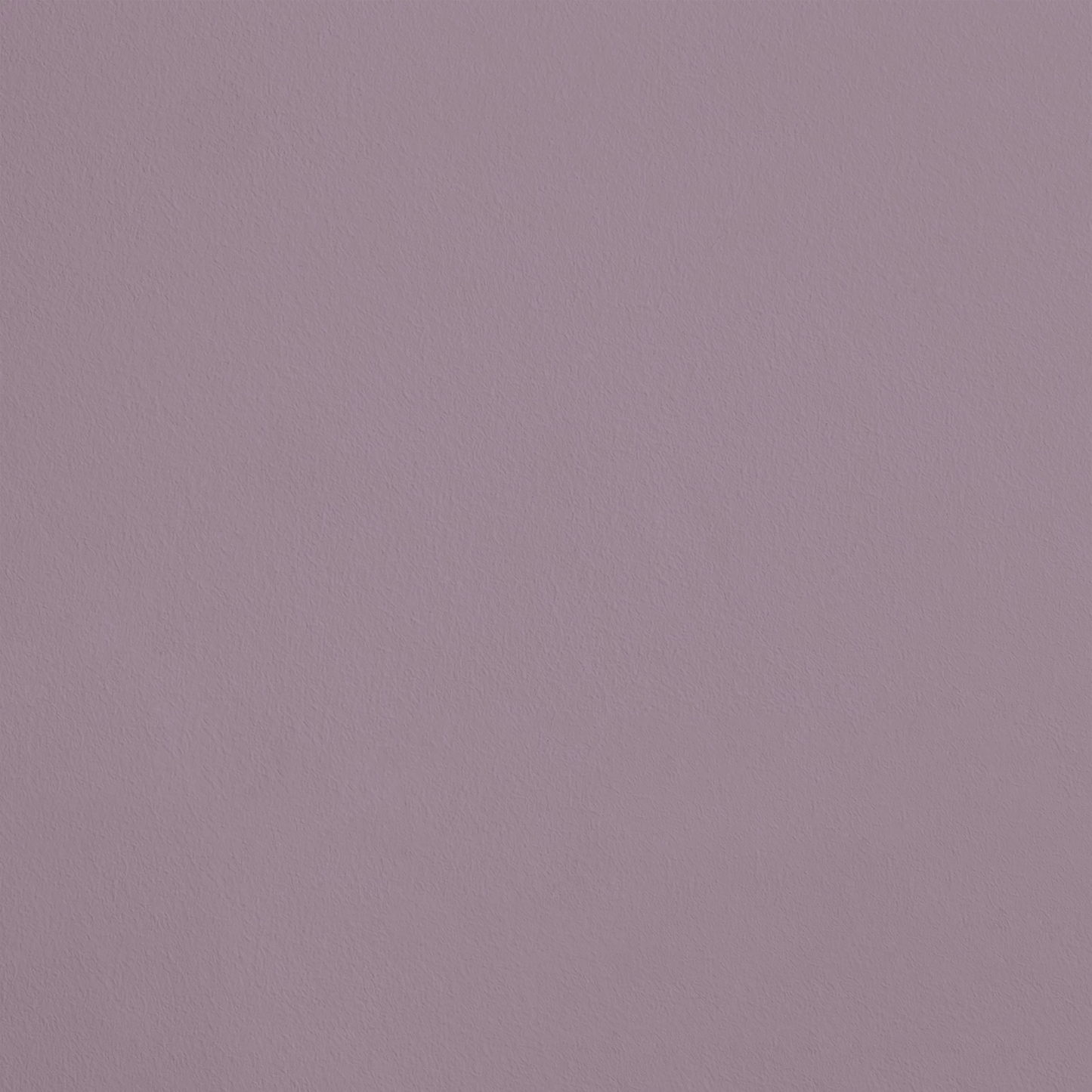 La Fleurette R487 aplicado en pared — Ressource