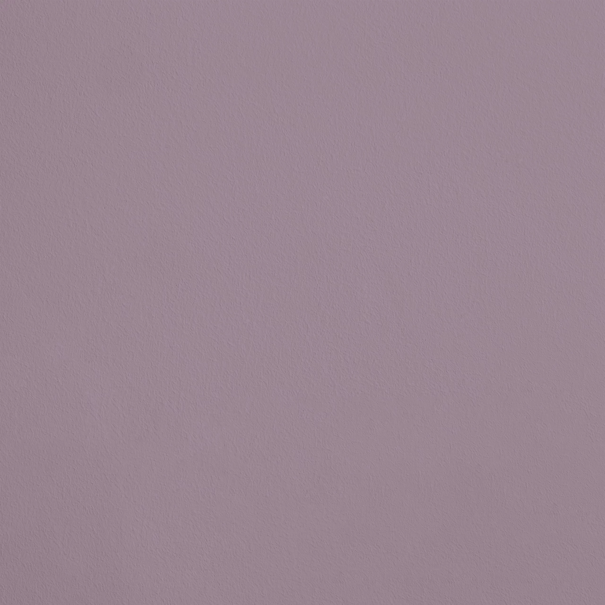 La Fleurette R487 aplicado en pared — Ressource