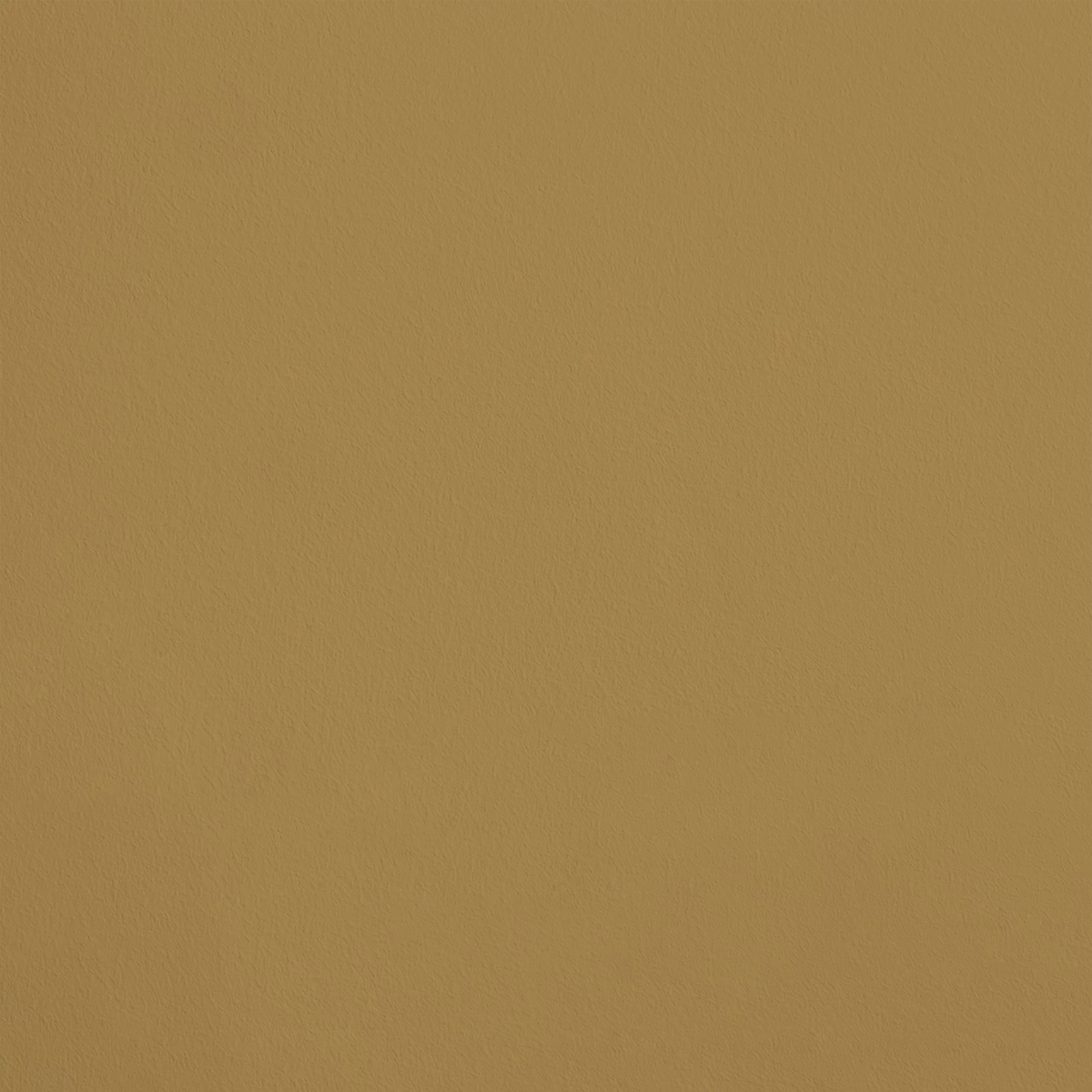 Le Philosophe R492 aplicado en pared — Ressource