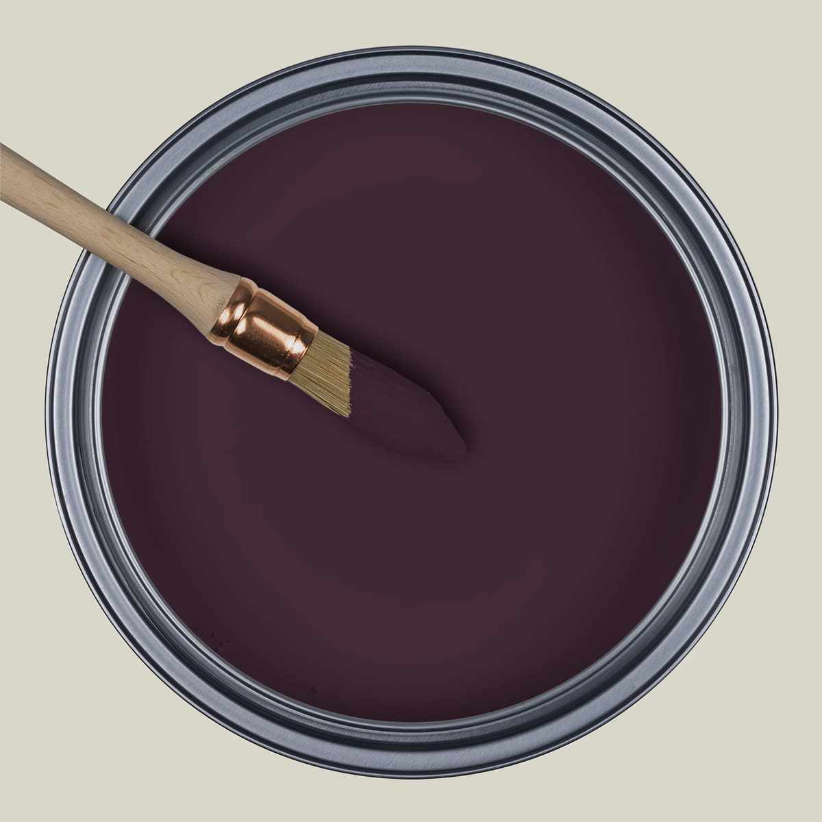La Curiosité R495 Aubergine Intrigante — Colección Ressource