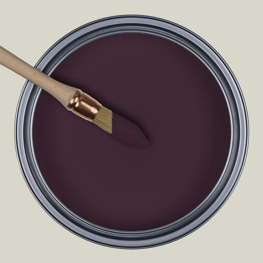 La Curiosité R495 Aubergine Intrigante — Colección Ressource