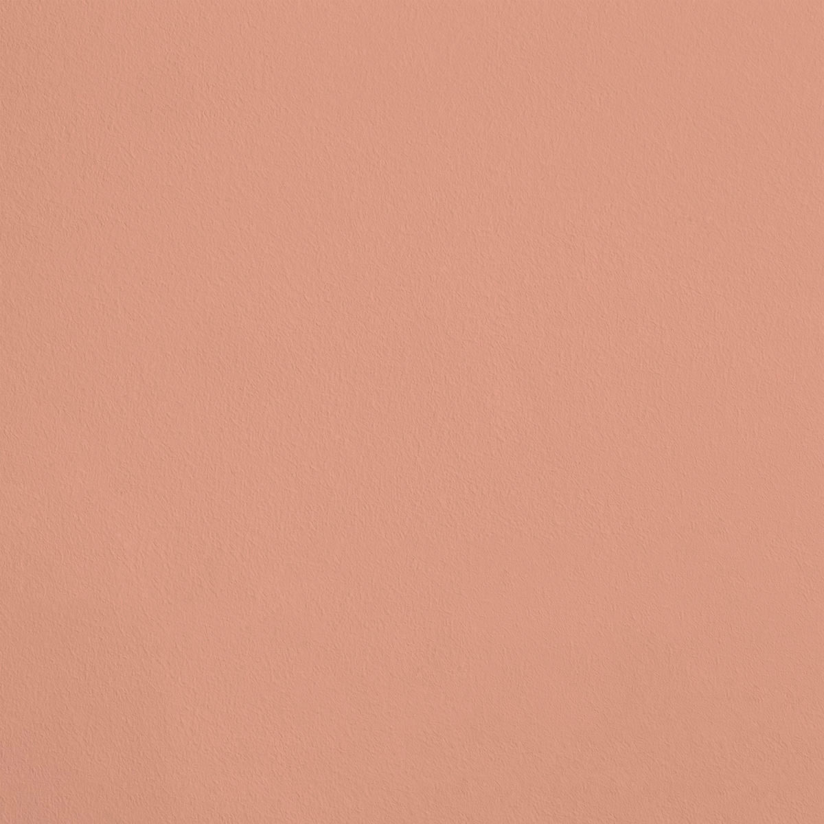 La Charmeuse R500 aplicado en pared — Ressource