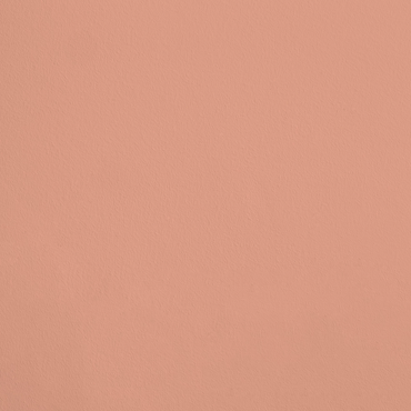 La Charmeuse R500 aplicado en pared — Ressource