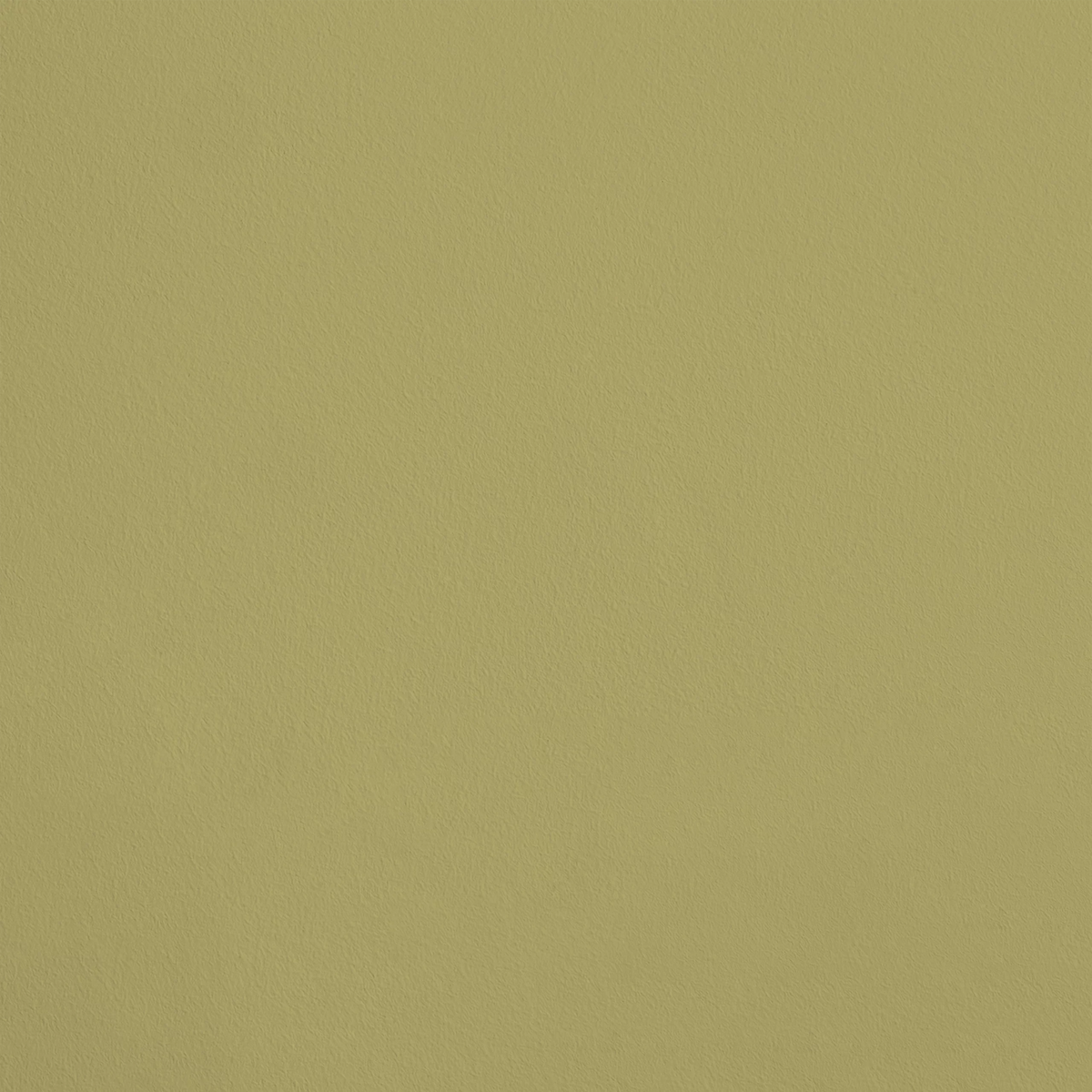 La Chrysalide R526 aplicado en pared — Ressource