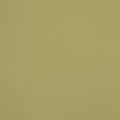La Chrysalide R526 aplicado en pared — Ressource