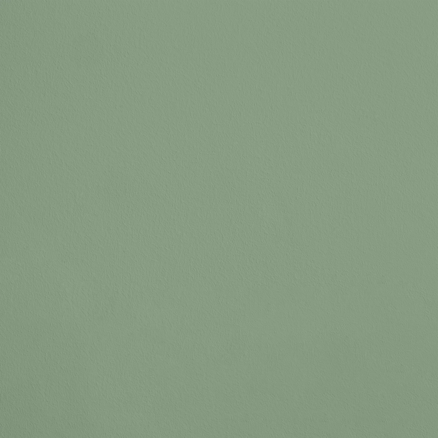 La Floraison R629 aplicado en pared — Ressource
