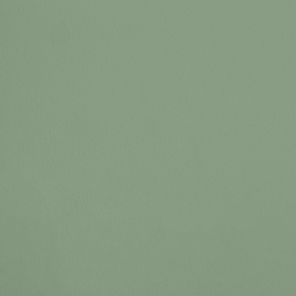 La Floraison R629 aplicado en pared — Ressource