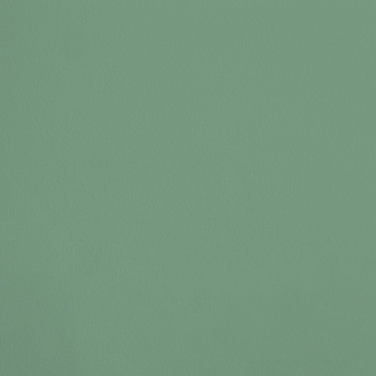 La Surprise R638 aplicado en pared — Ressource