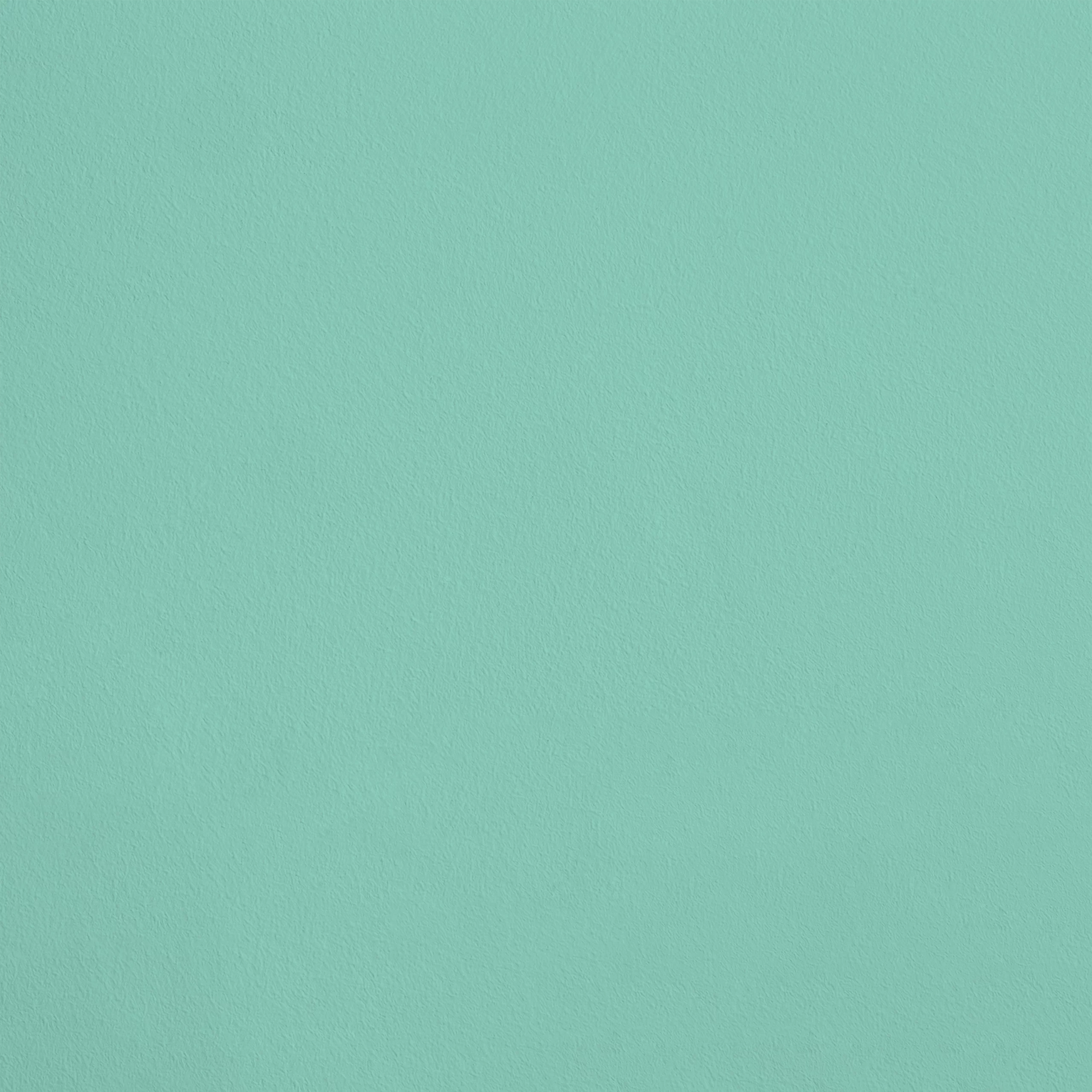 L'Oasis R647 aplicado en pared — Ressource