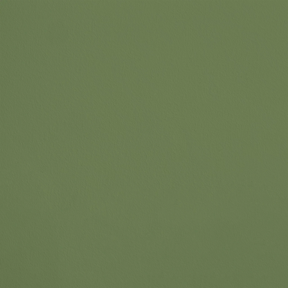 La Pinède R673 aplicado en pared — Ressource