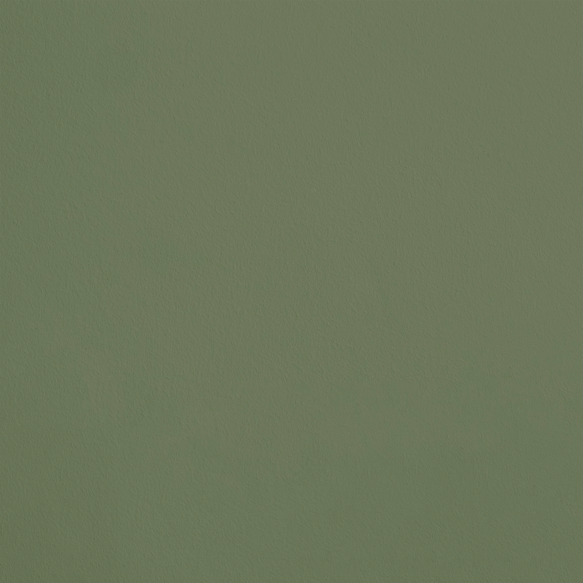 Le Rameau R675 aplicado en pared — Ressource