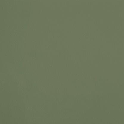 Le Rameau R675 aplicado en pared — Ressource