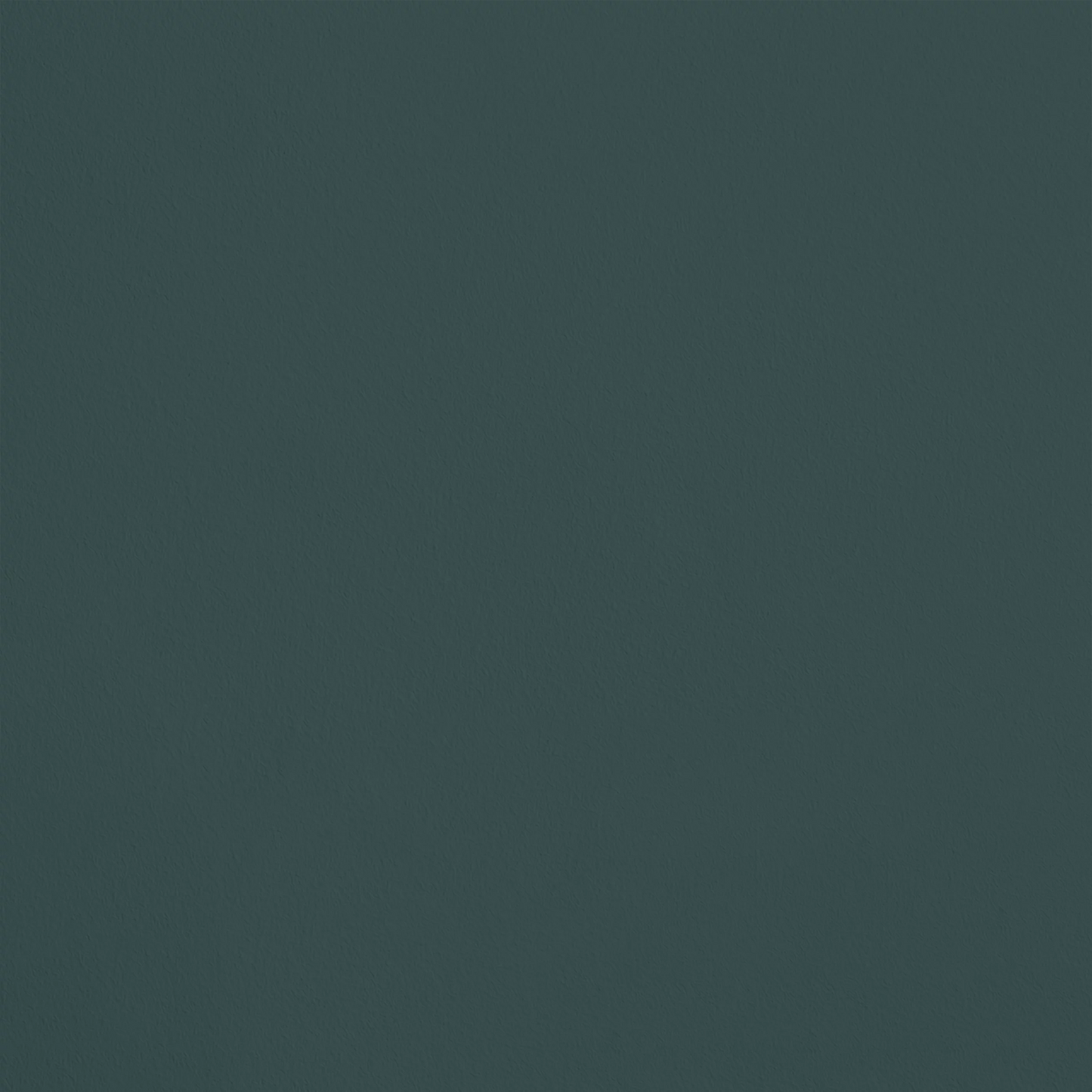 L'Euphorie R679 aplicado en pared — Ressource