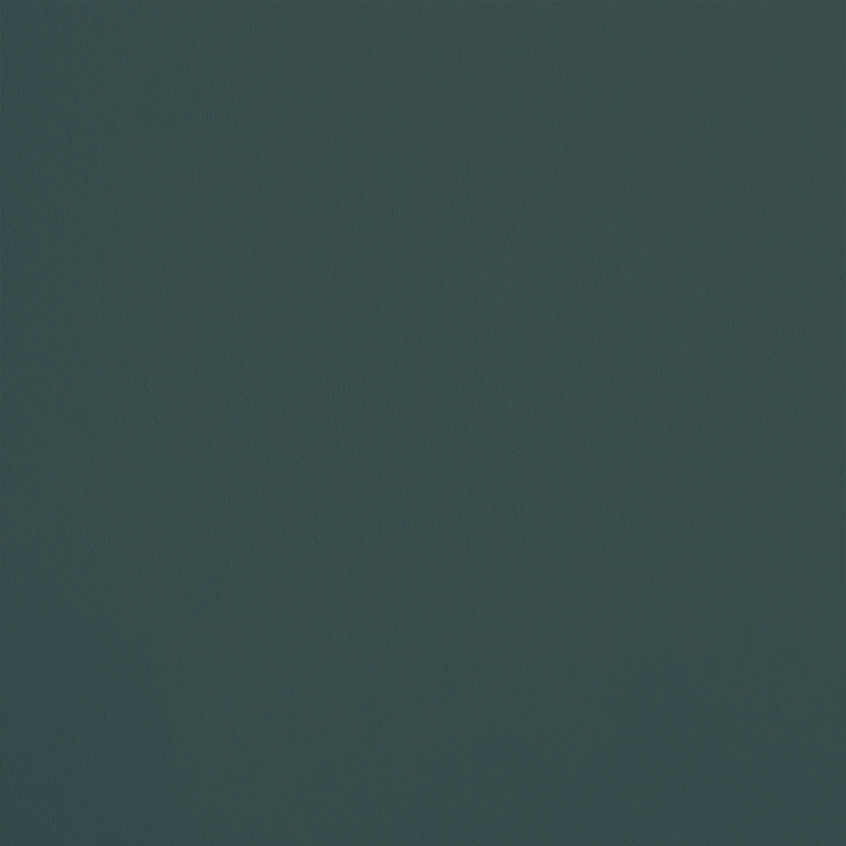 L'Euphorie R679 aplicado en pared — Ressource
