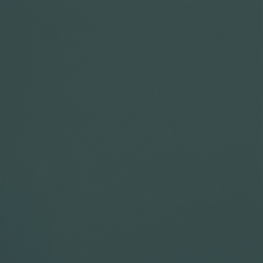 L'Euphorie R679 aplicado en pared — Ressource