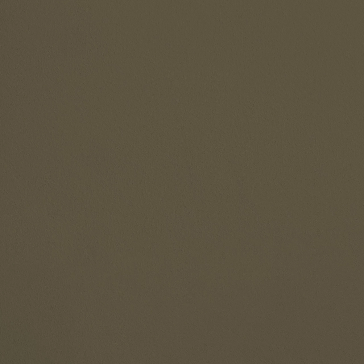 L'Hédoniste R732 aplicado en pared — Ressource