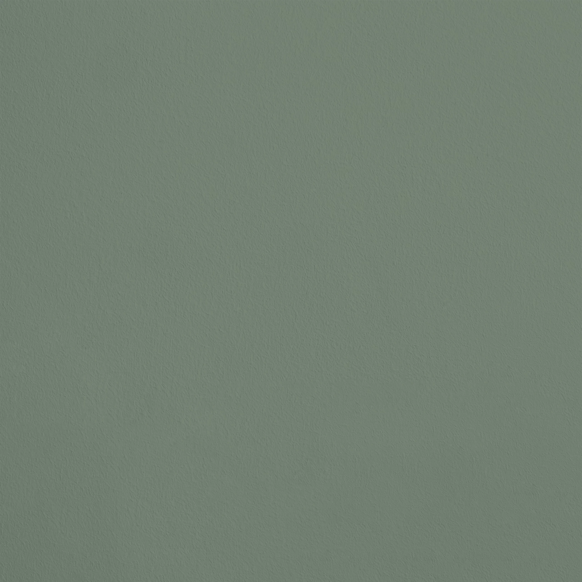 Le Maquis R748 aplicado en pared — Ressource