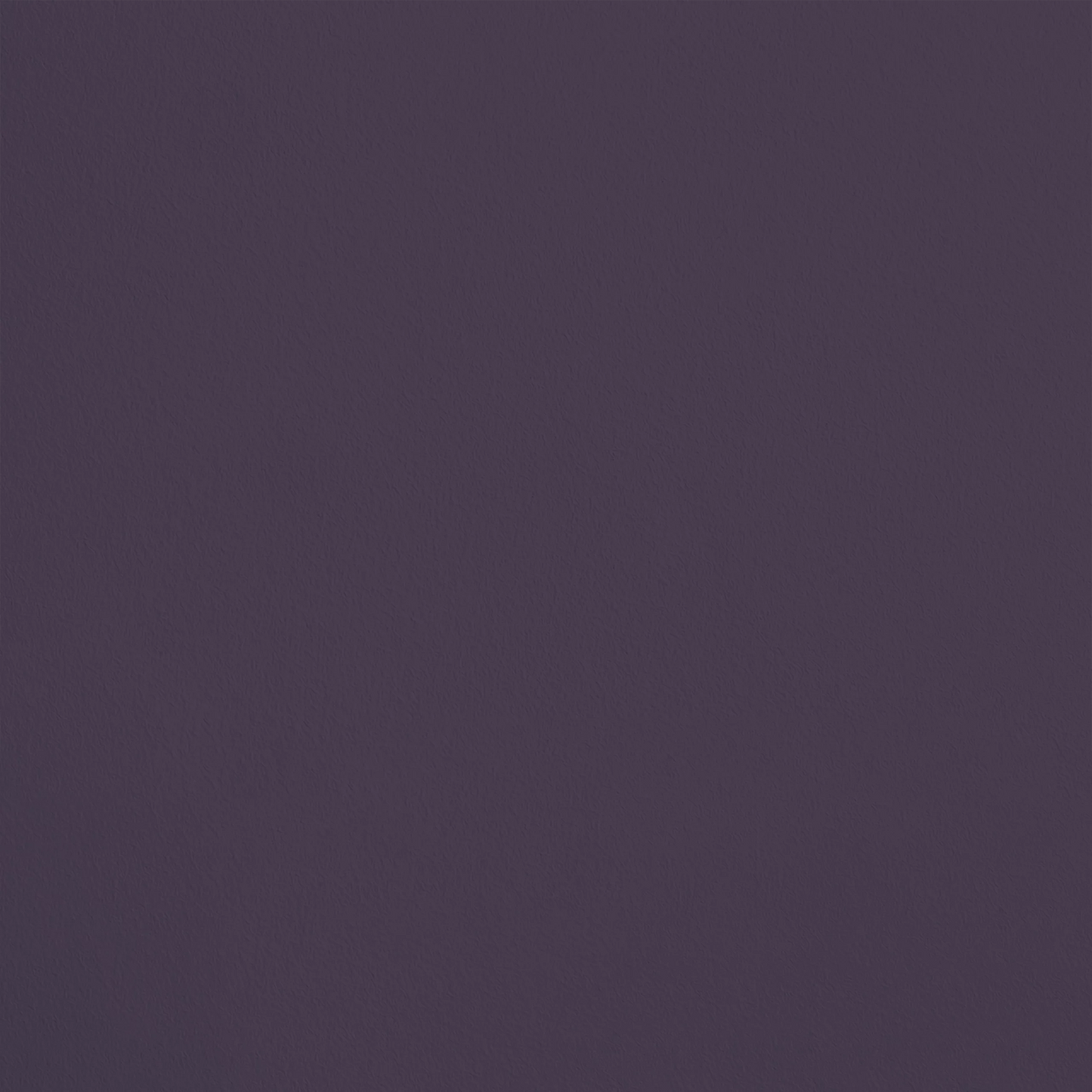 L'Ensorcellement R787 aplicado en pared — Ressource