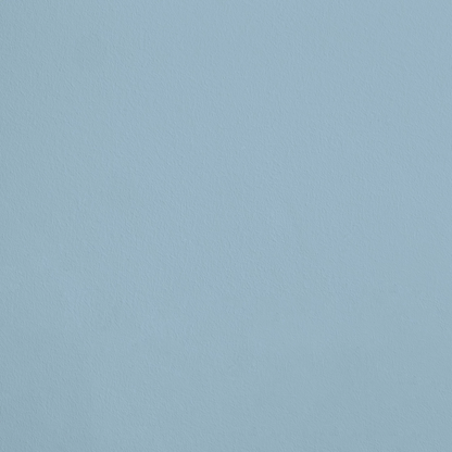 La Baigneuse R841 aplicado en pared — Ressource