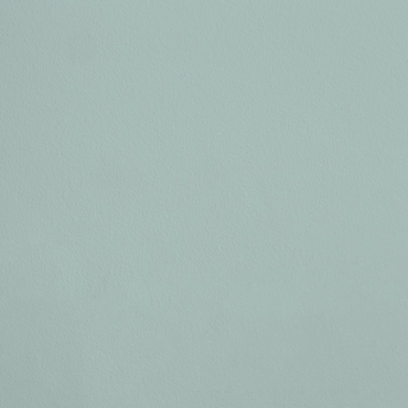 La Psyché R895 aplicado en pared — Ressource
