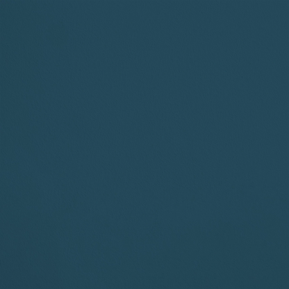 La Plongée R944 aplicado en pared — Ressource