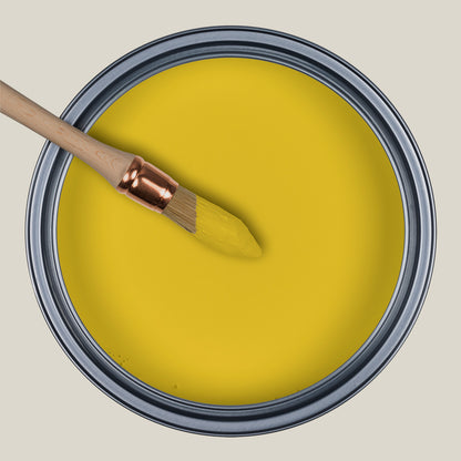 Bote de pintura Ressource Curry SL22